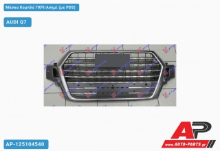 Μάσκα Κομπλέ ΓΚΡΙ/Ασημί (με PDS) AUDI Q7 (2015-2019)