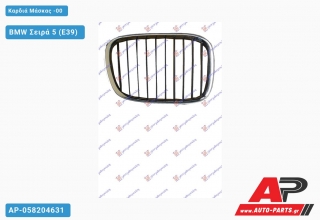 Καρδιά Μάσκας -00 BMW Σειρά 5 (E39) (1996-2002)
