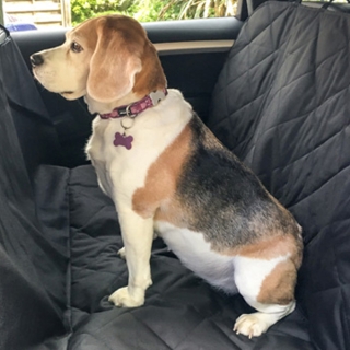 Καλυμμα Καθισματοσ για Κατοικιδια - Dog Seat Cover